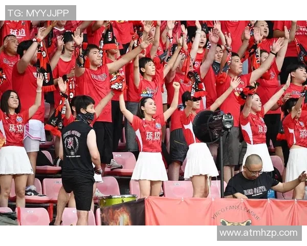 足球明星的粉丝与真正球迷的区别与共鸣探讨