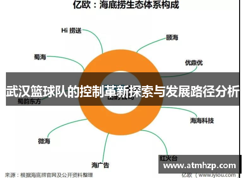 武汉篮球队的控制革新探索与发展路径分析