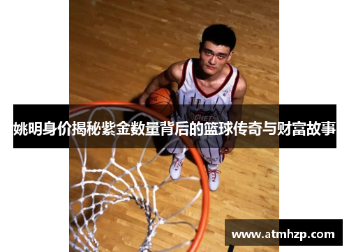 姚明身价揭秘紫金数量背后的篮球传奇与财富故事