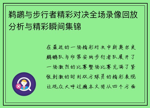 鹈鹕与步行者精彩对决全场录像回放分析与精彩瞬间集锦